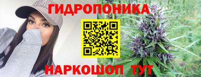 apvp Обь
