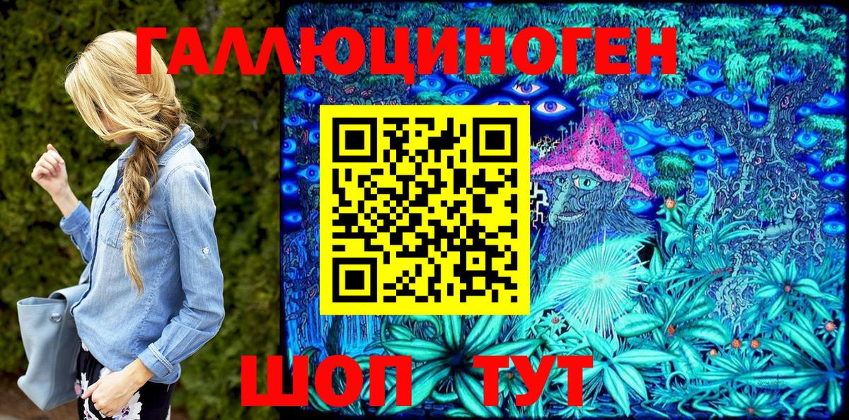 Котовск  Галлюциногенные грибы Psilocybine cubensis  Вход с VPN  Псилоцибиновые грибы GOLDEN TEACHER 