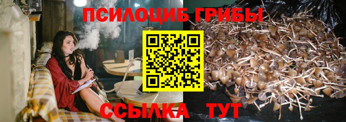 Псилоцибиновые грибы GOLDEN TEACHER Котовск